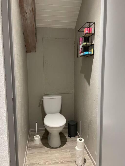 CorcieuxLoft Avec Jardinアパートメント エクステリア 写真